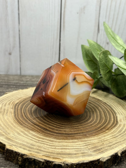 Saradonyx Square / Cubes