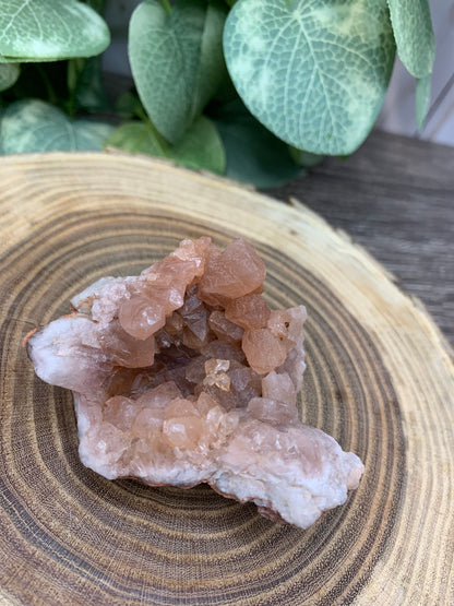 Pink Amethyst Cluster