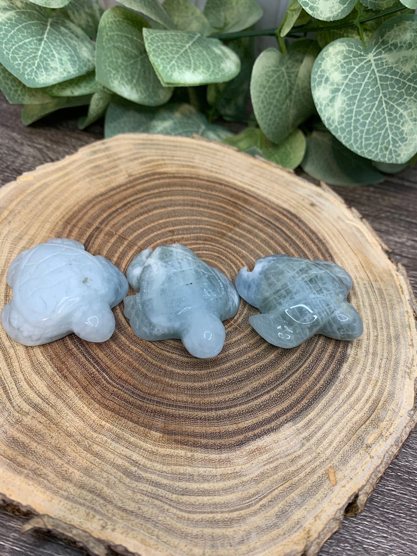 Turtle Carvings  - Aquamarine