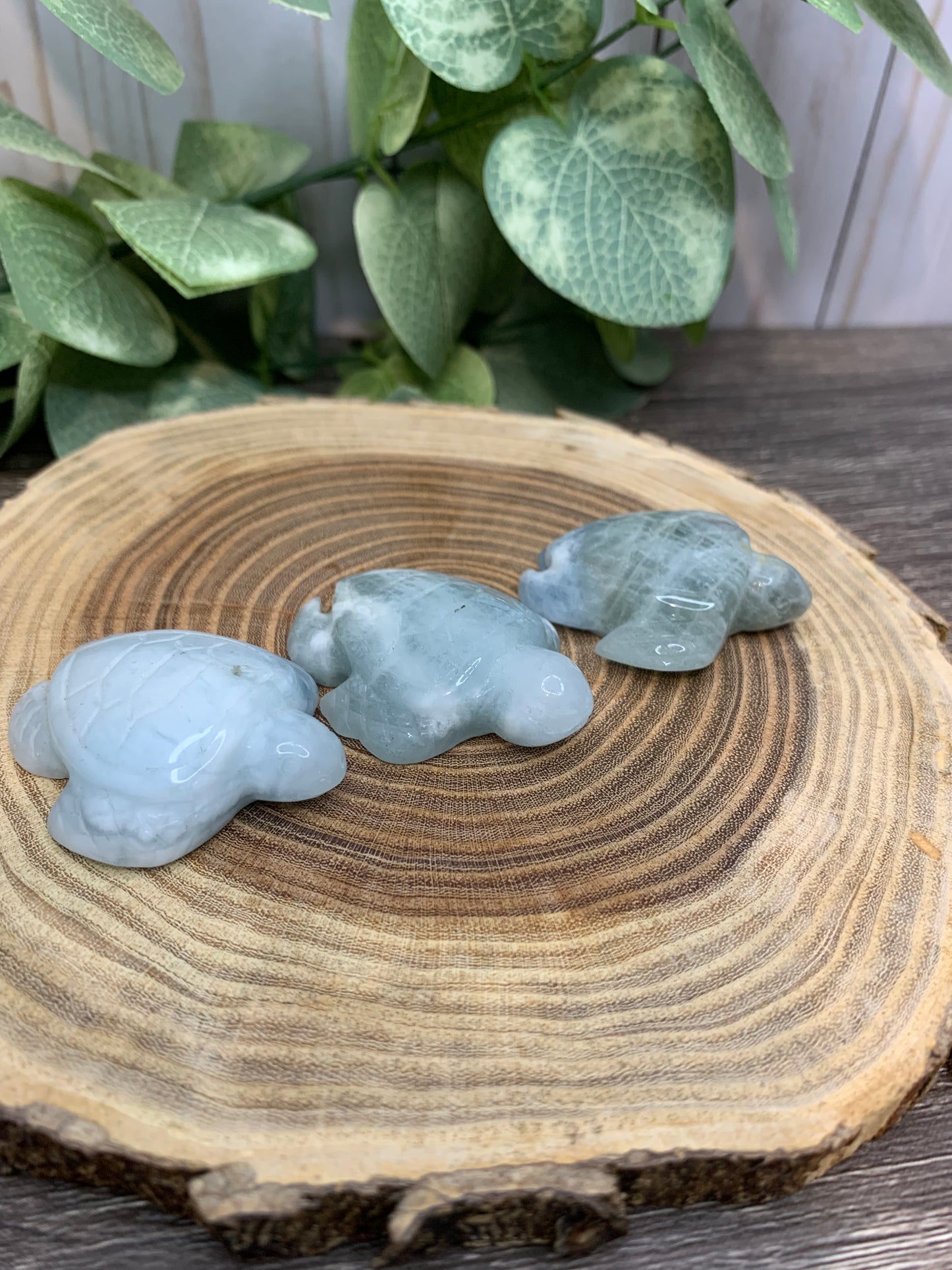 Turtle Carvings  - Aquamarine