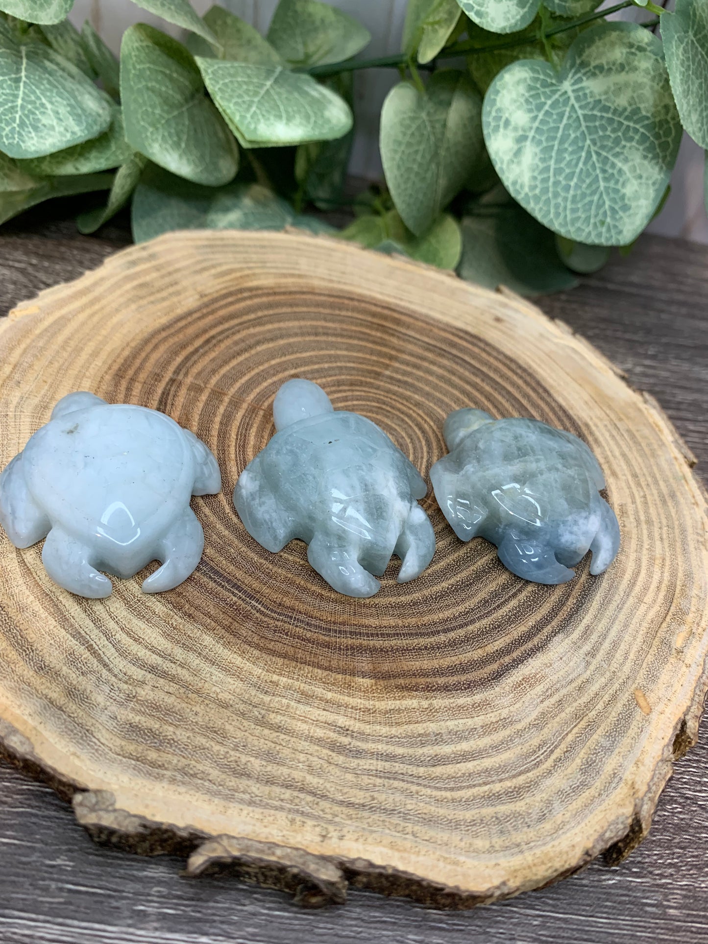 Turtle Carvings  - Aquamarine