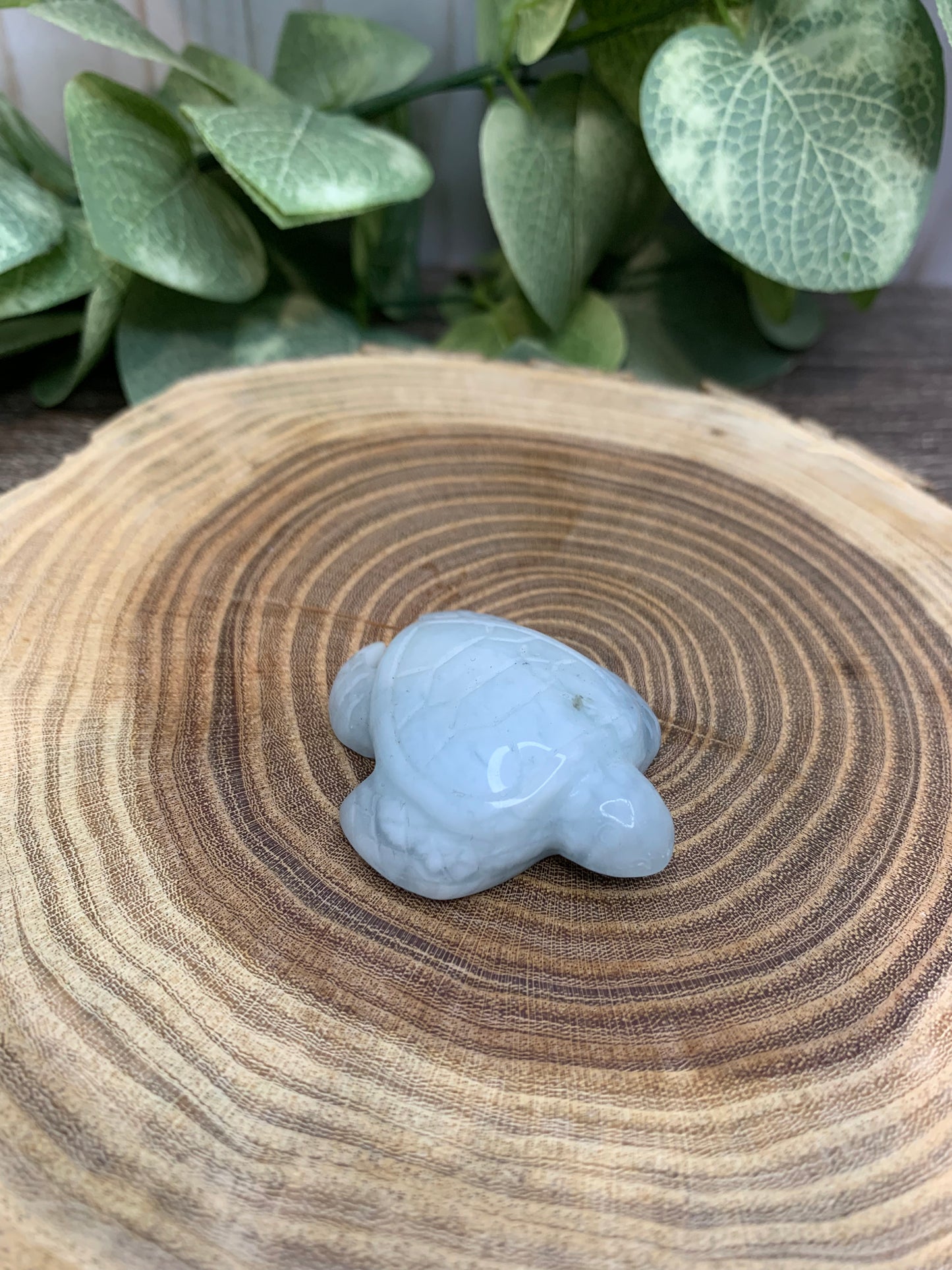 Turtle Carvings  - Aquamarine