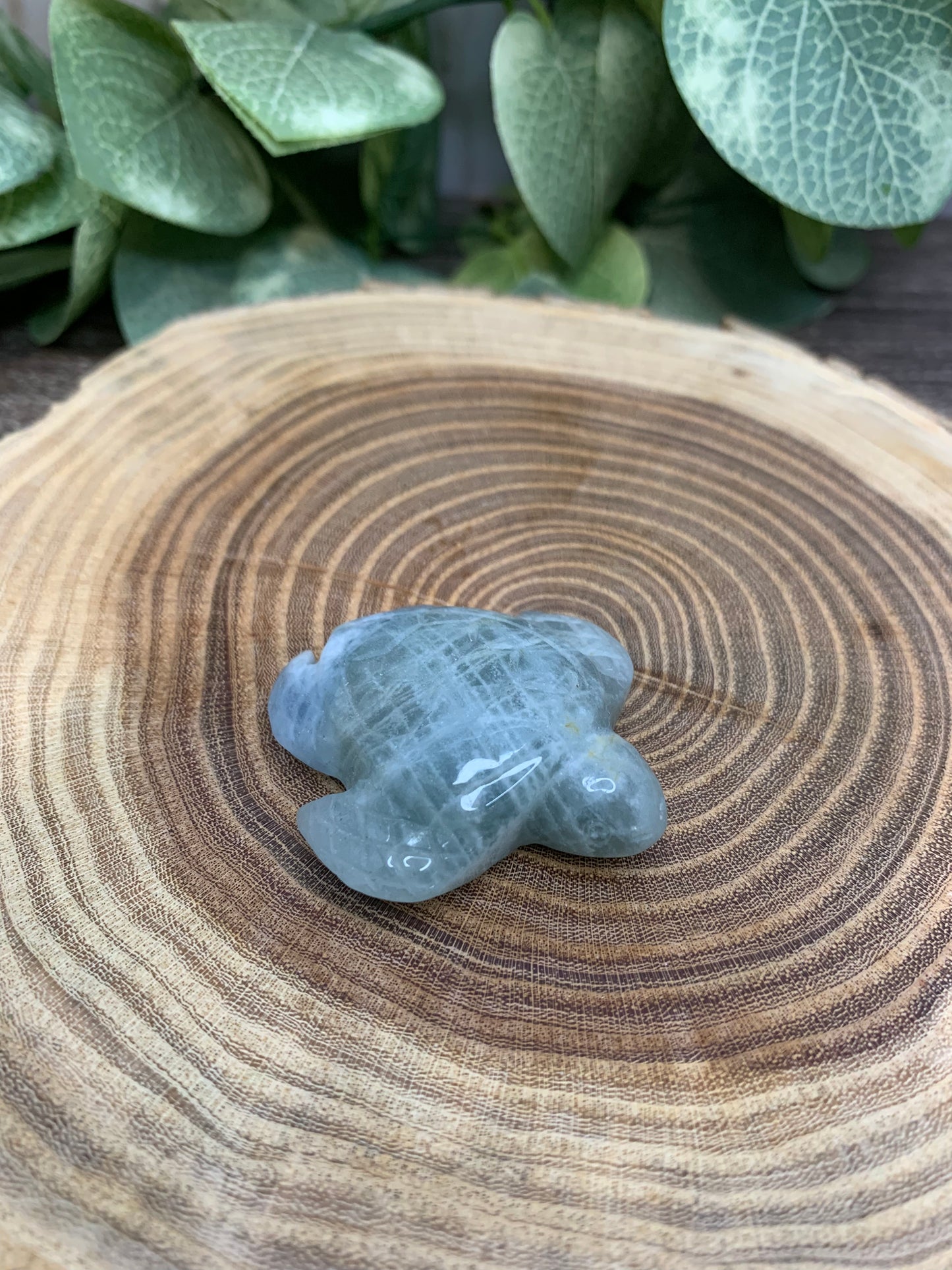 Turtle Carvings  - Aquamarine