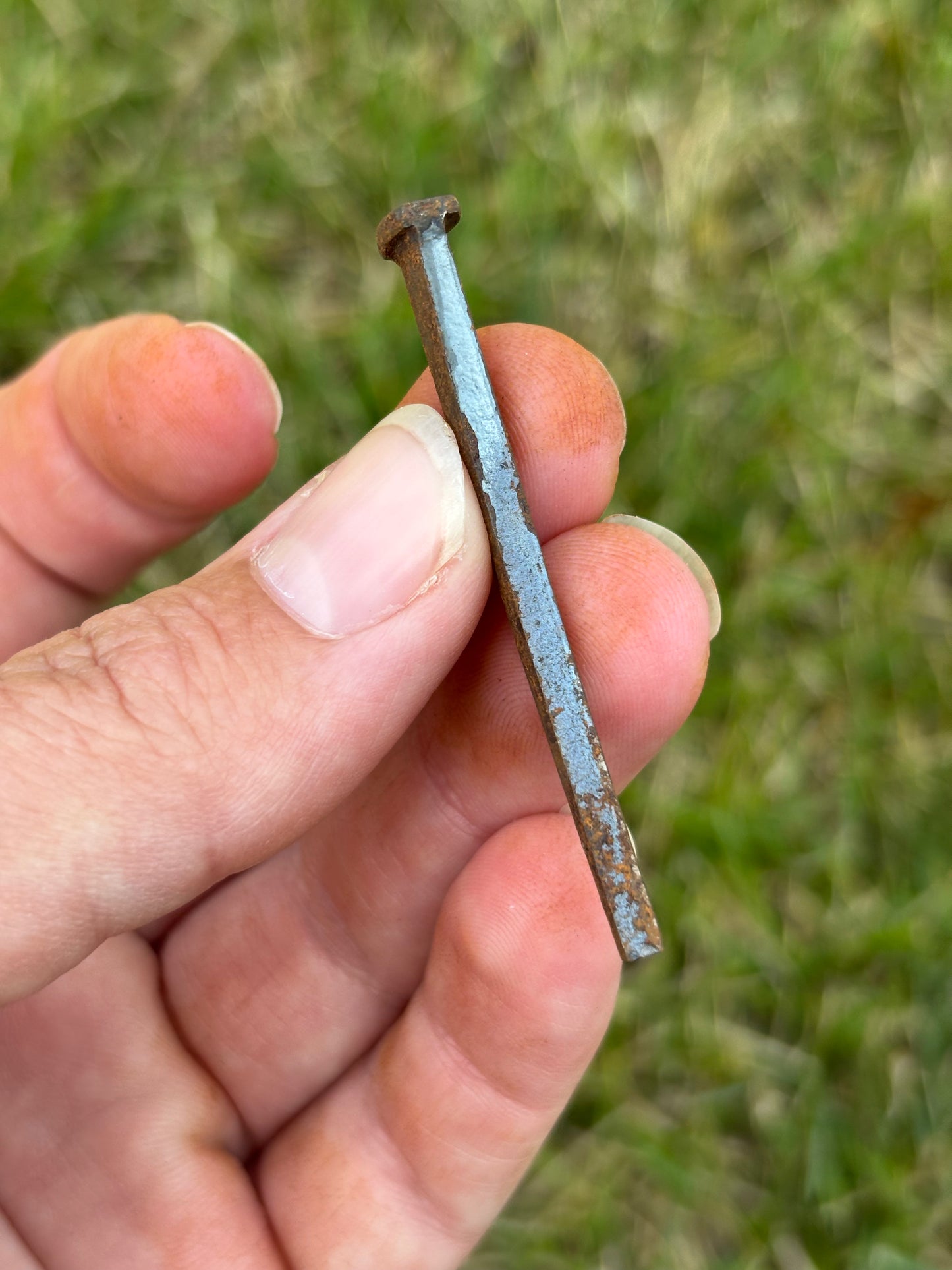 Iron Square Head Nails/ Vintage/ Antique - Protection, Altar Tool