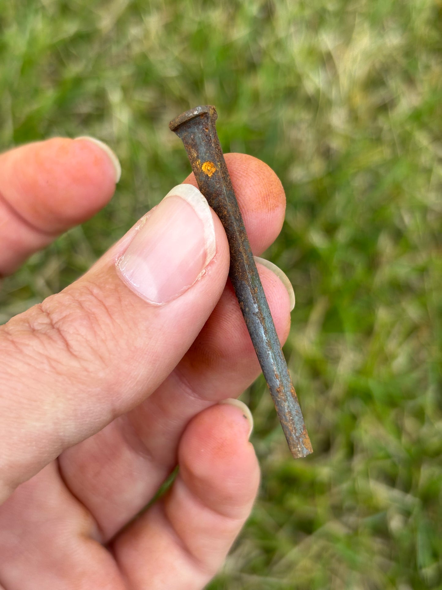 Iron Square Head Nails/ Vintage/ Antique - Protection, Altar Tool