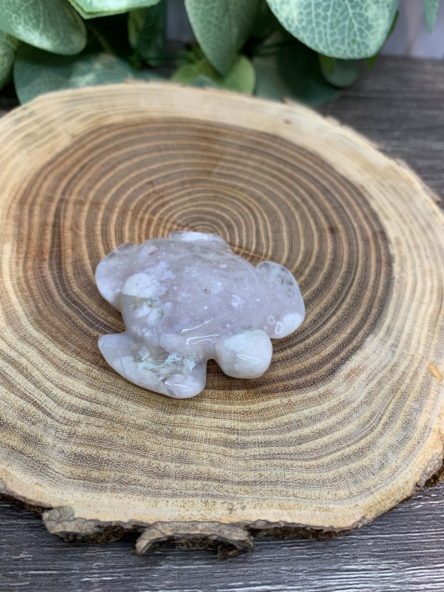 Turtle - Flower Agate