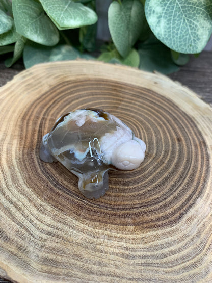 Turtle - Flower Agate