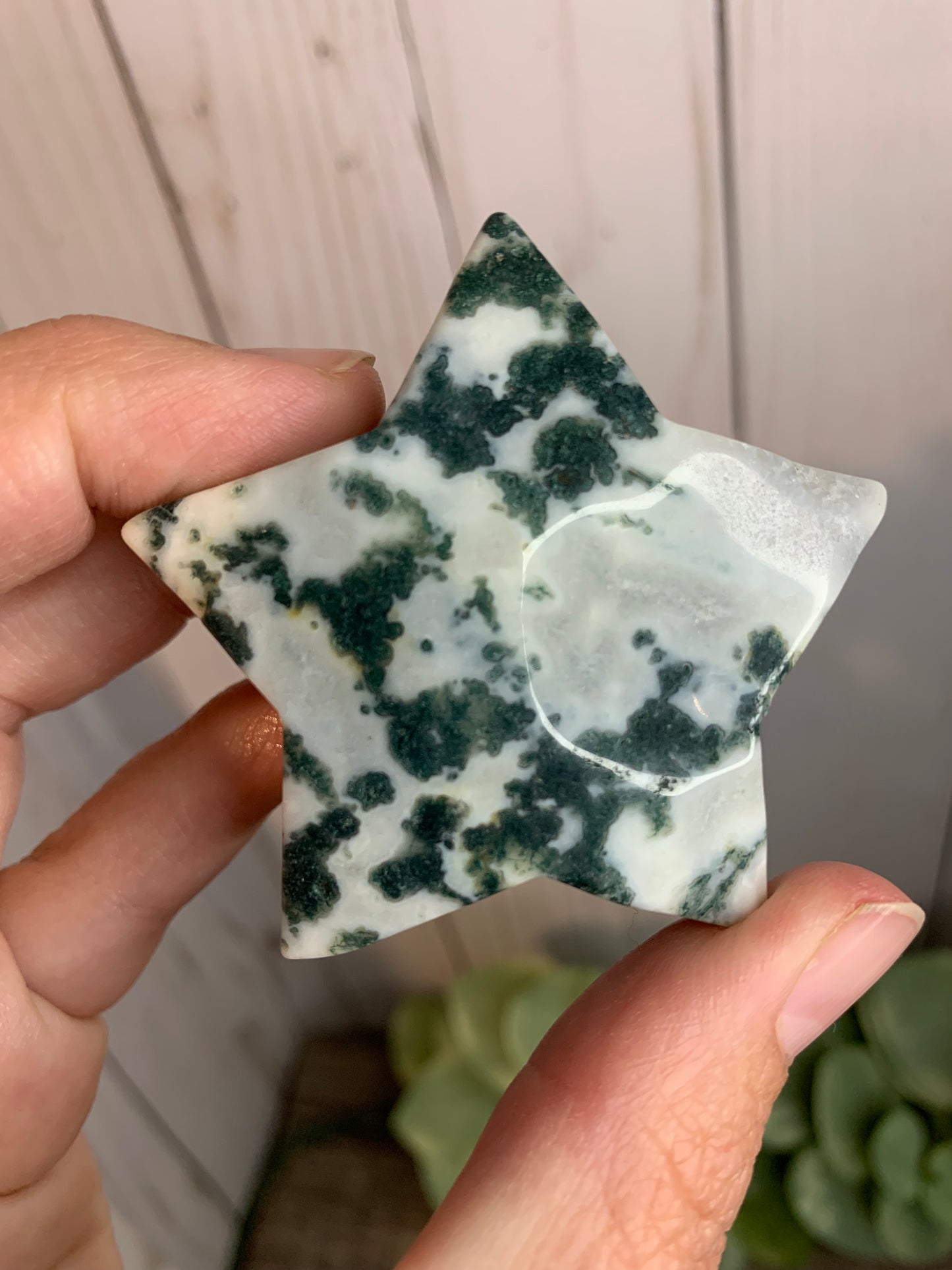 Moss Agate Star