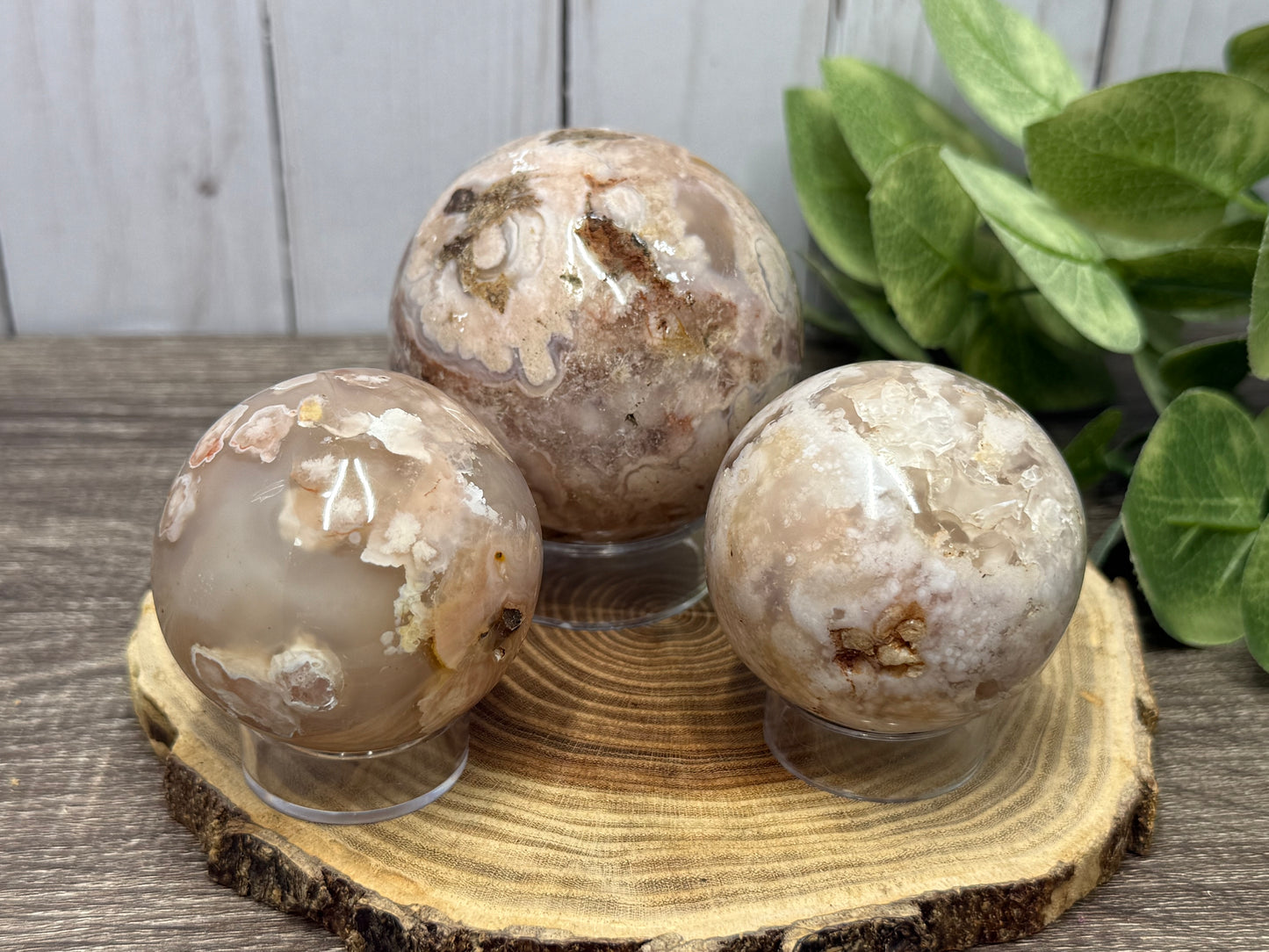 Flower Agate Spheres