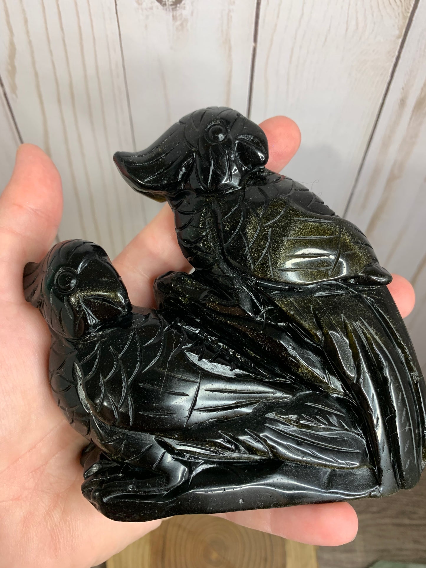 Macaw Gold Sheen Obsidian Carving