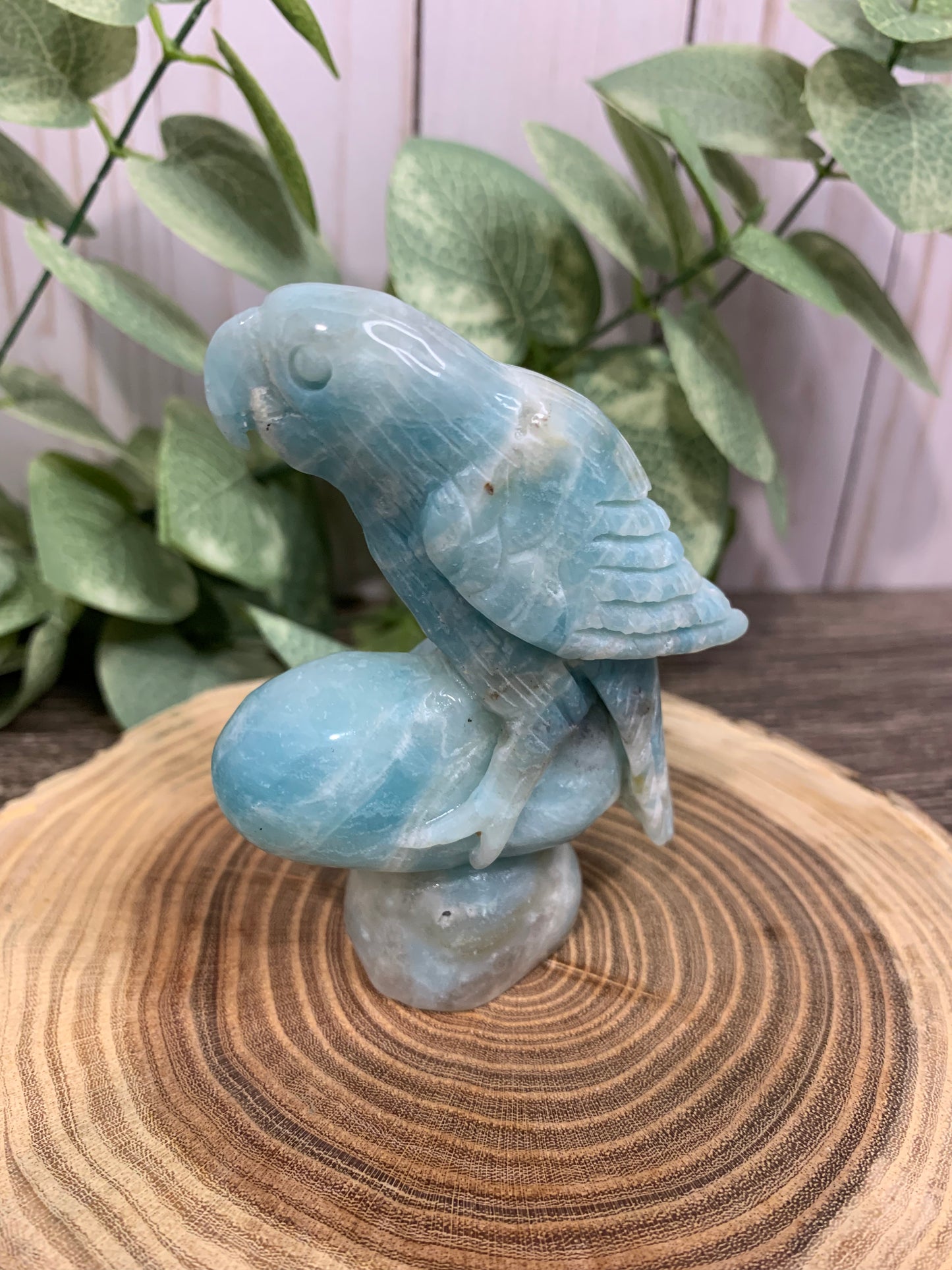 Parrot Carving Caribbean Calcite