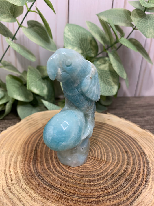 Parrot Carving Caribbean Calcite