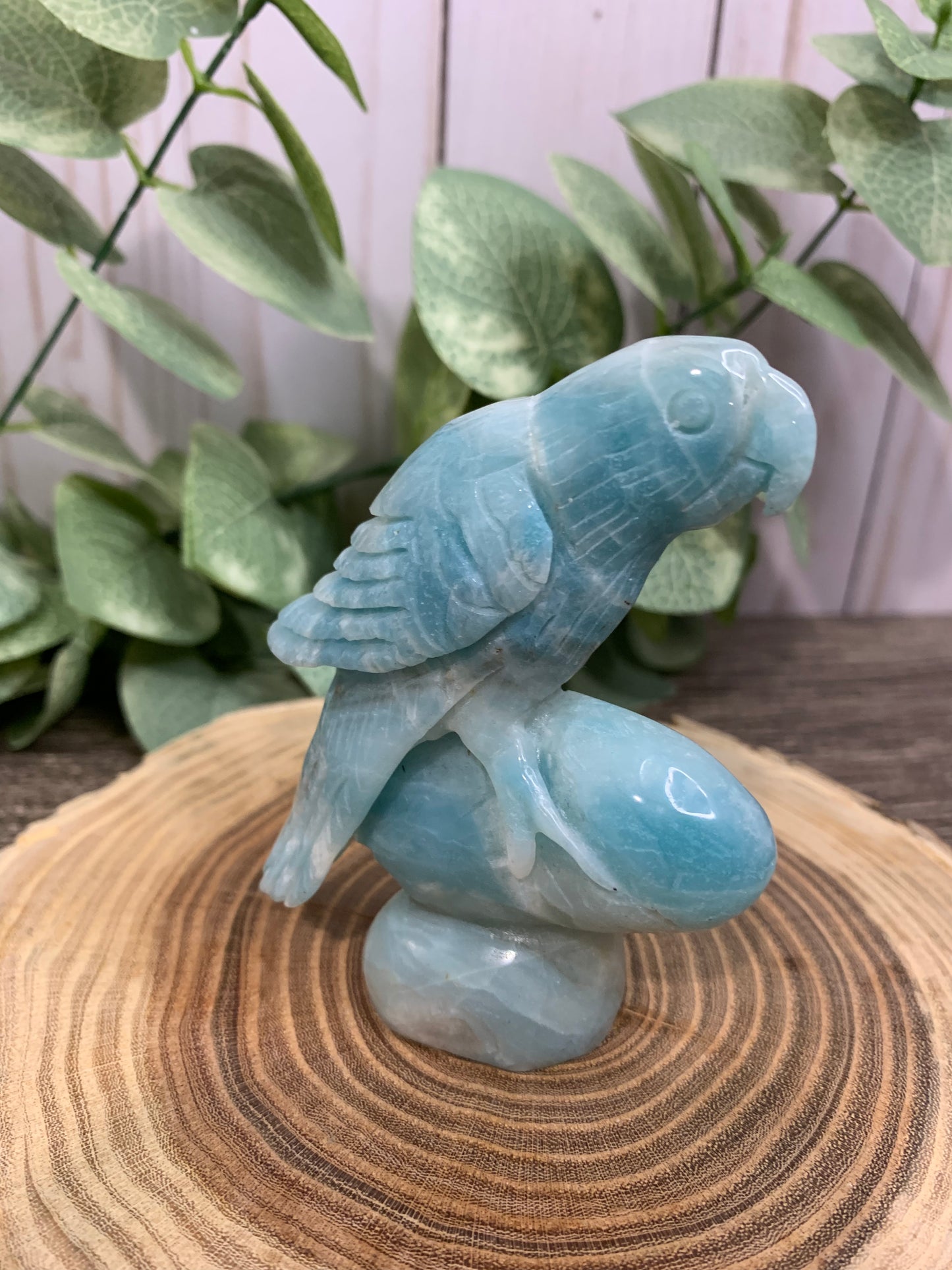 Parrot Carving Caribbean Calcite