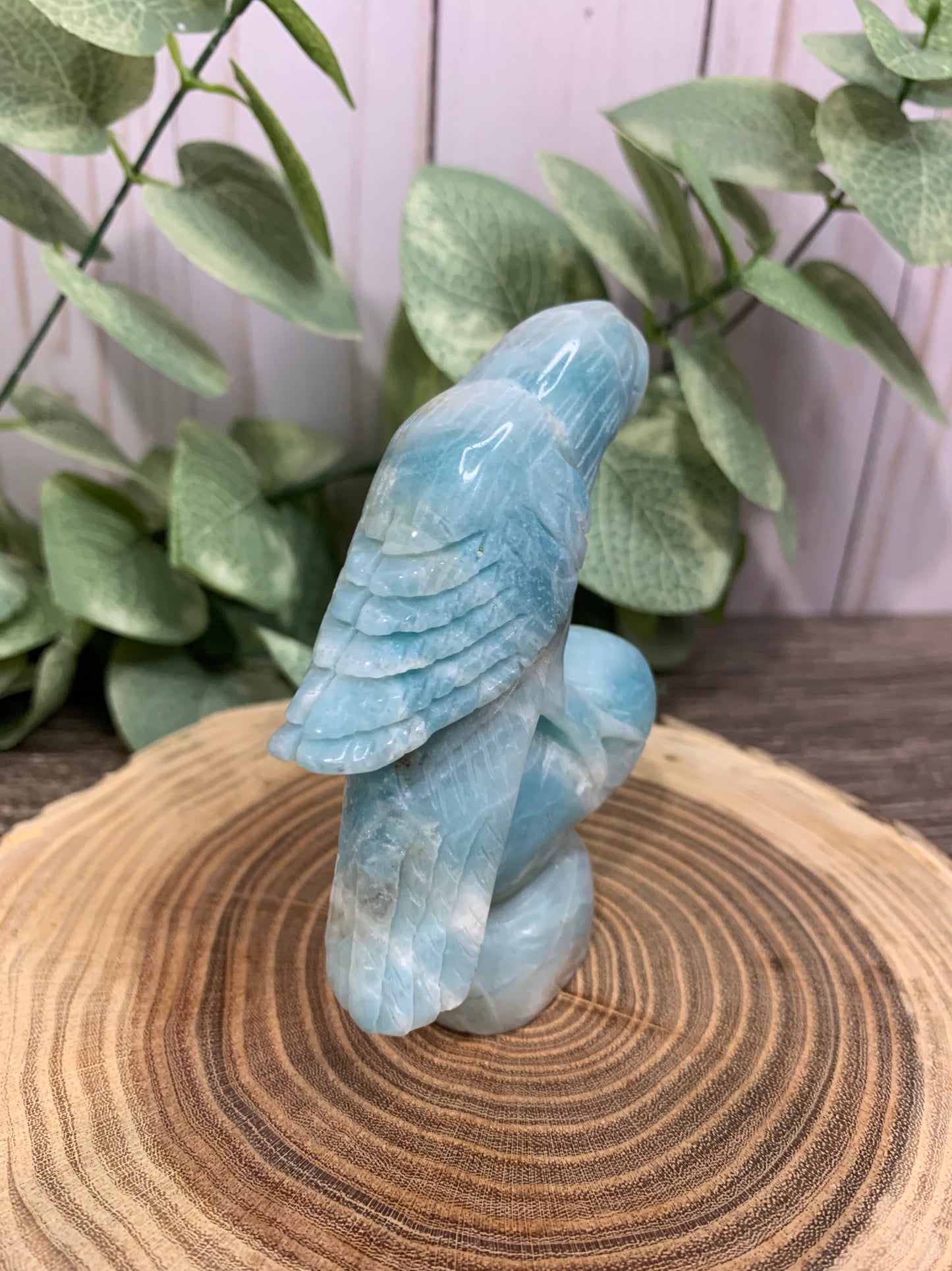 Parrot Carving Caribbean Calcite