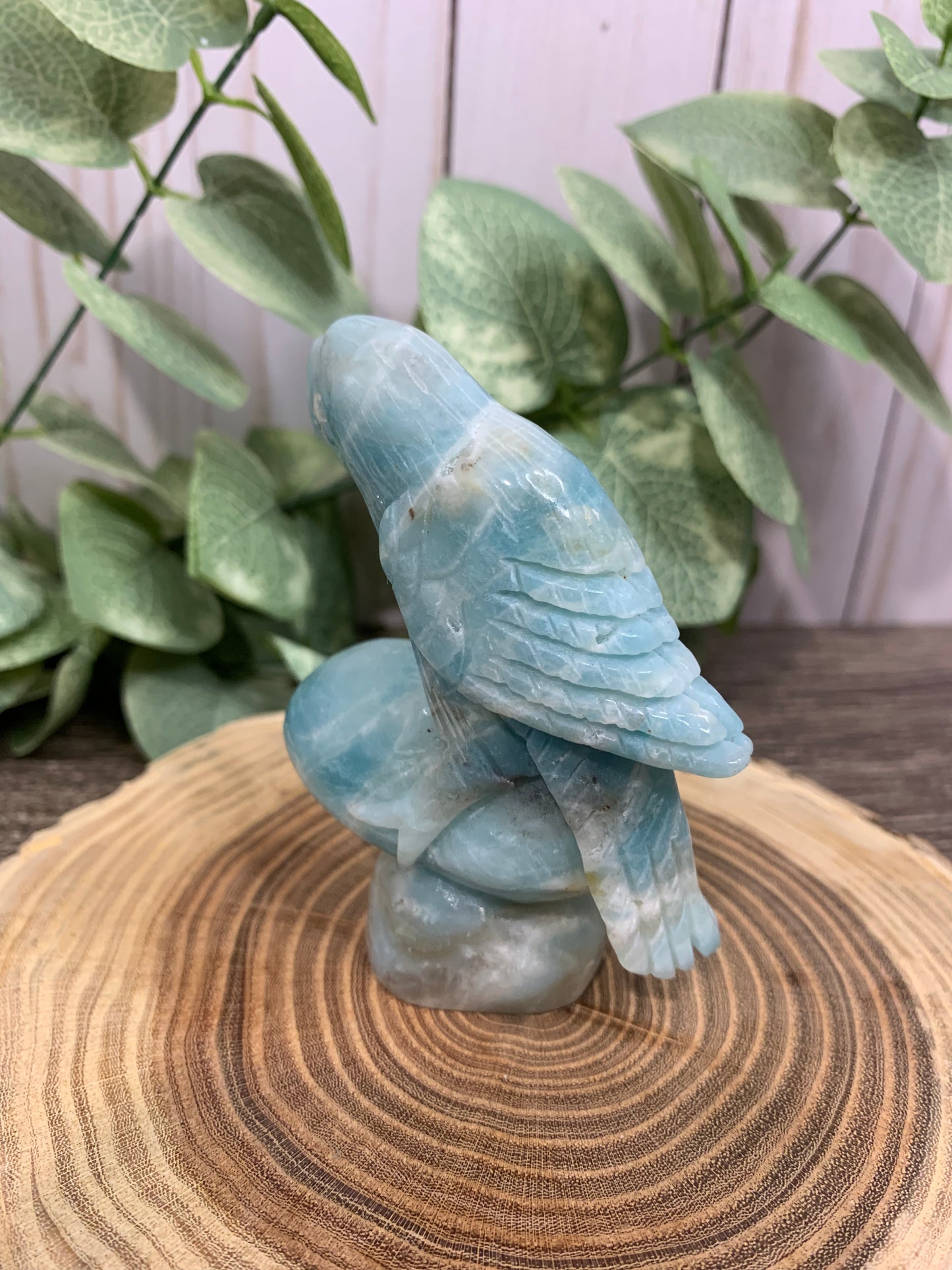 Parrot Carving Caribbean Calcite