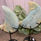 Caribbean Calcite Moon on Stand