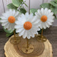 Daisy on Stand - Selenite and orange calcite middles
