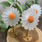 Daisy on Stand - Selenite and orange calcite middles