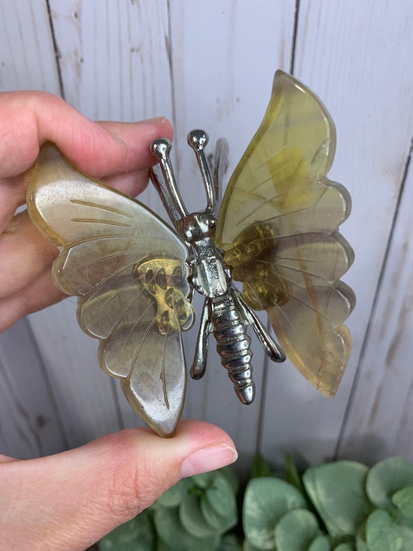 Fluorite Butterfly