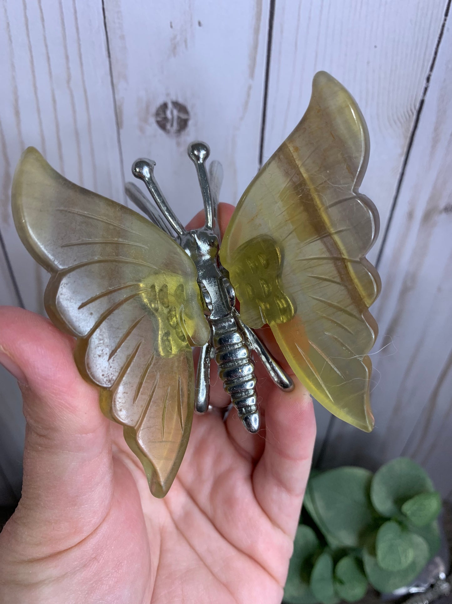 Fluorite Butterfly