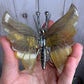 Fluorite Butterfly