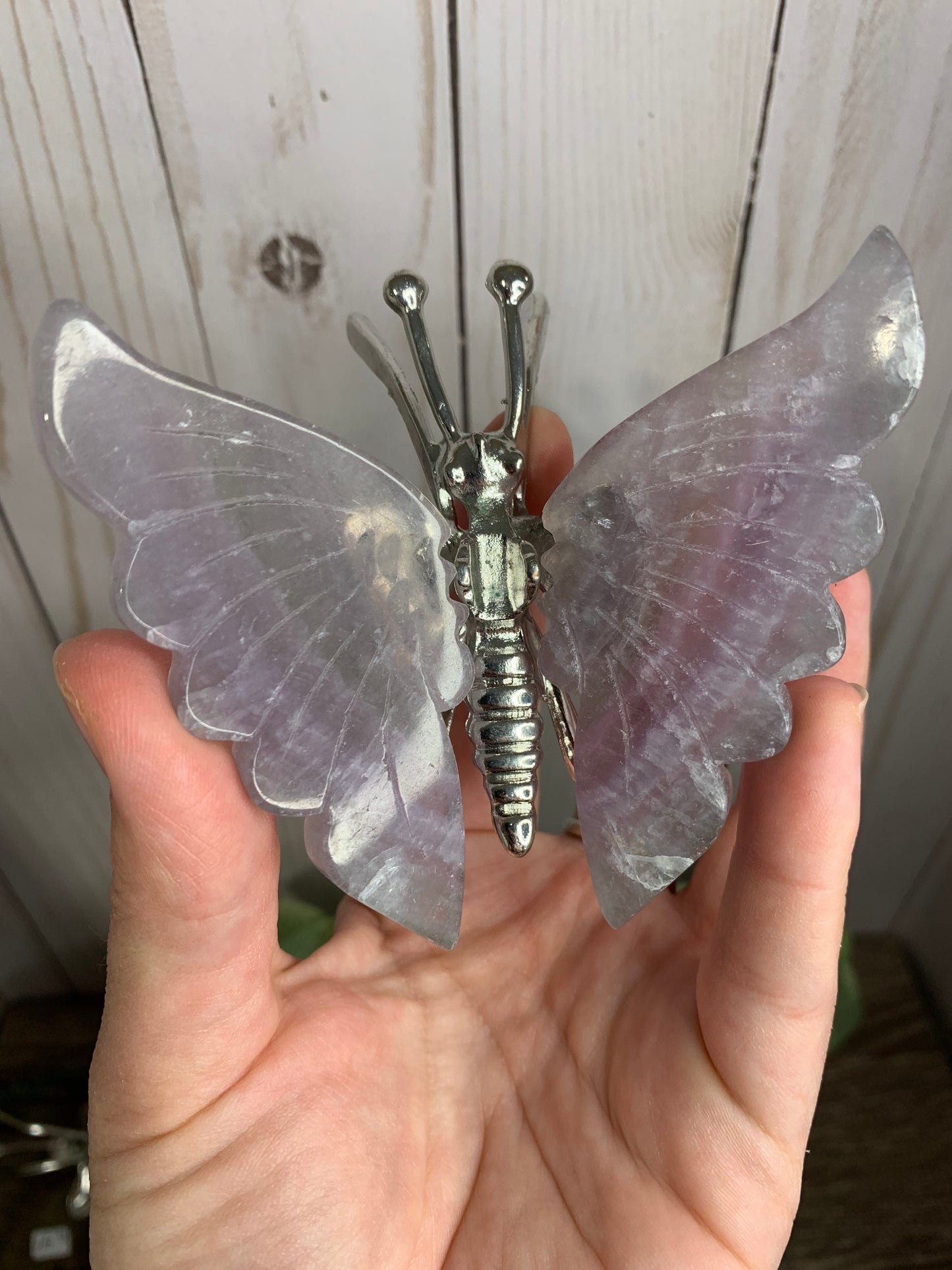 Fluorite Butterfly