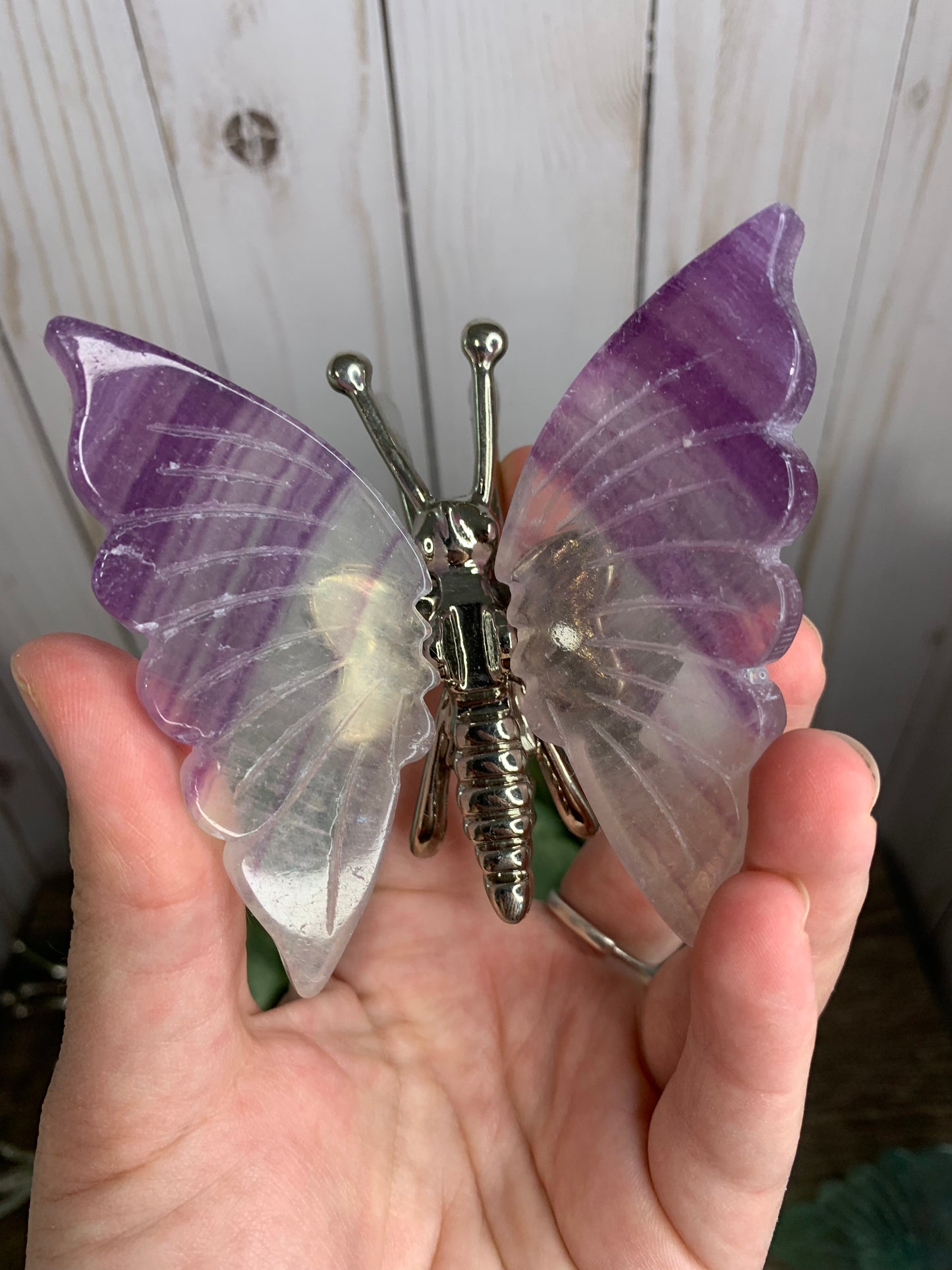 Fluorite Butterfly