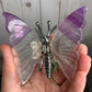 Fluorite Butterfly