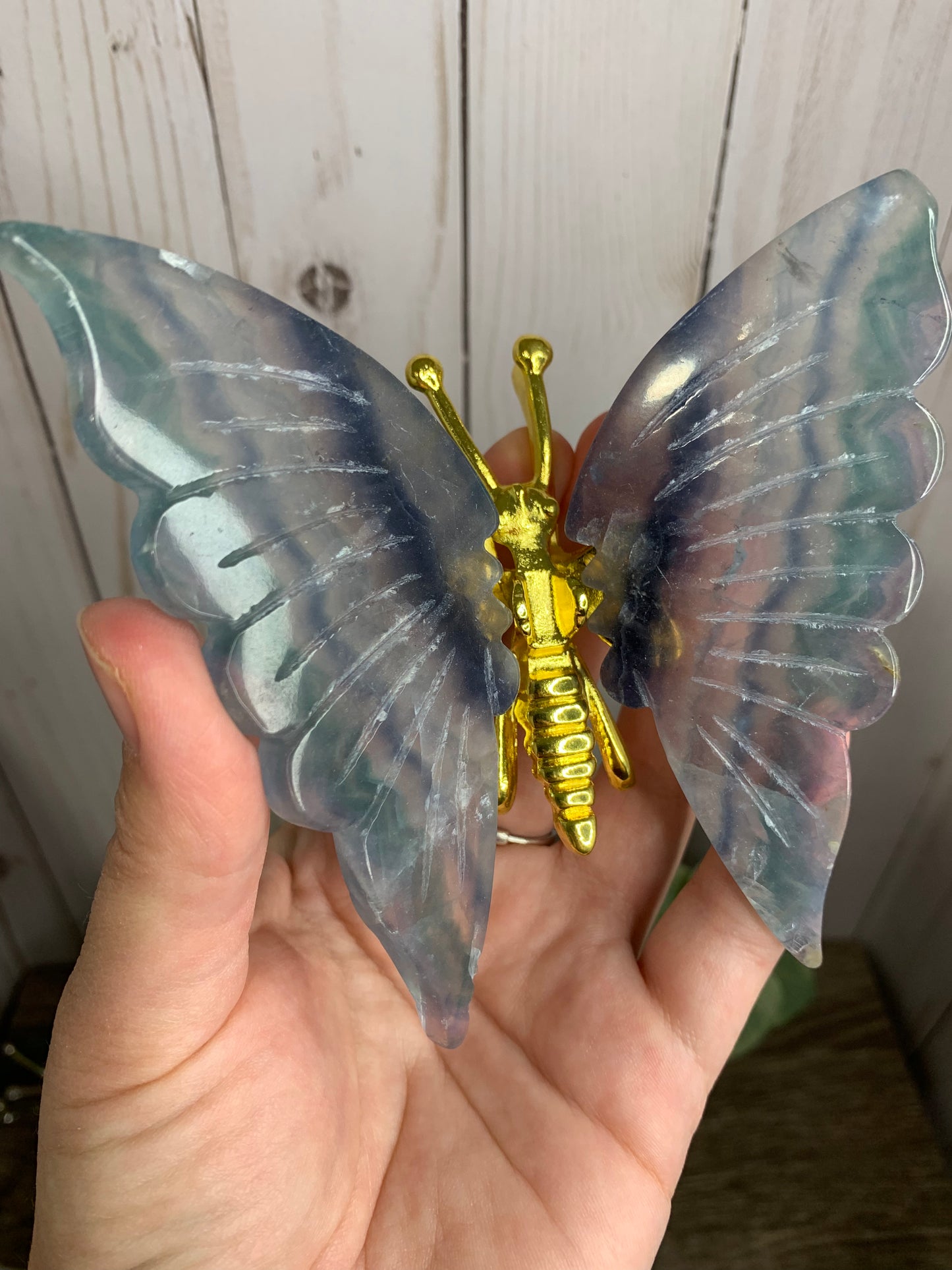 Fluorite Butterfly