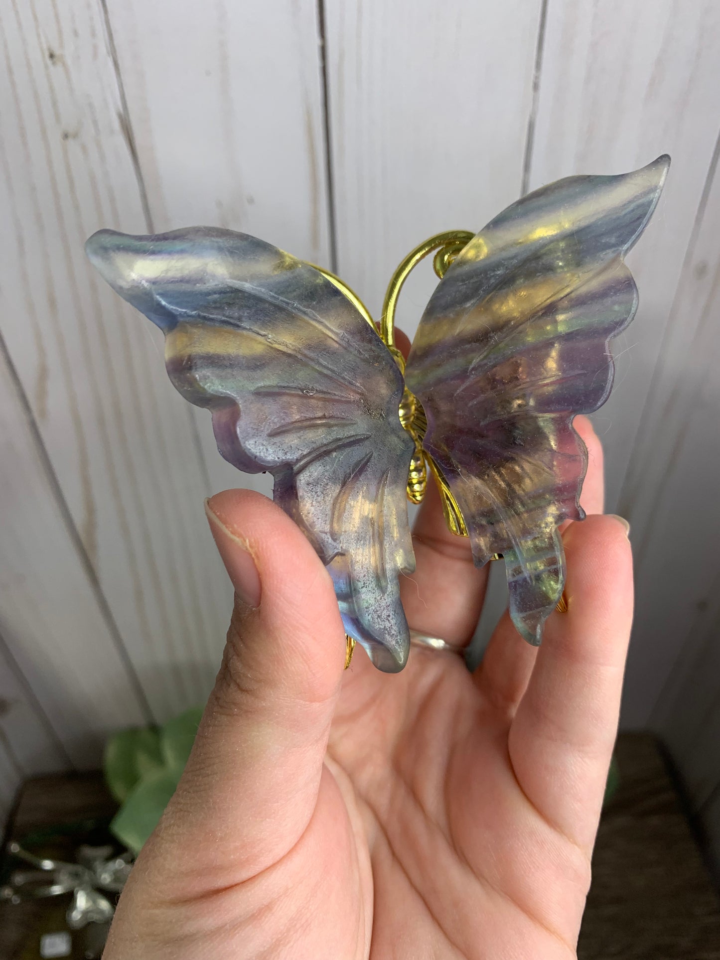 Fluorite Butterfly