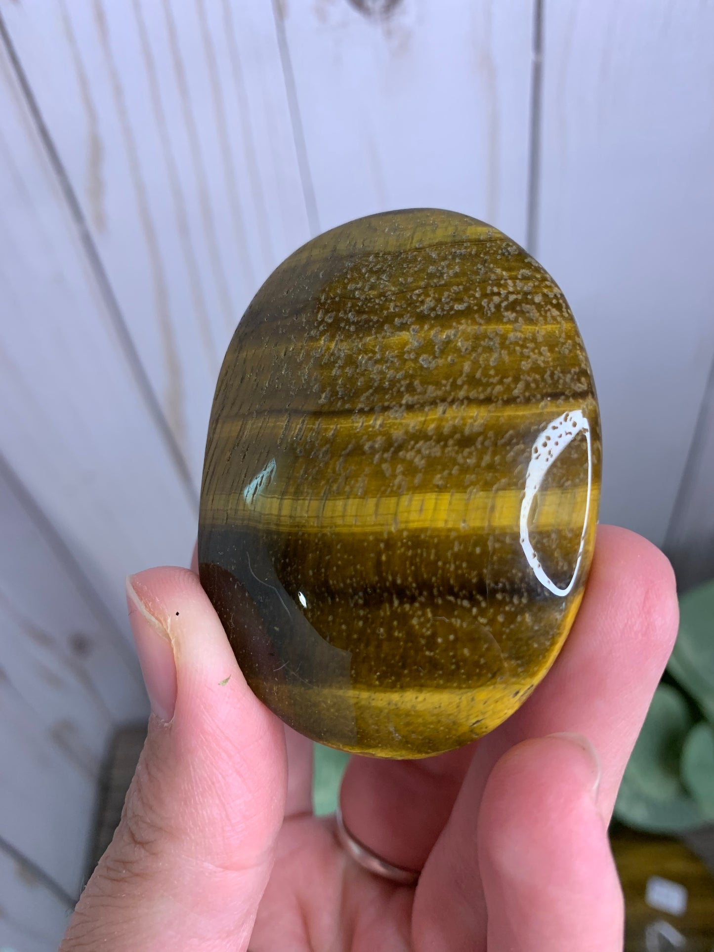 Tigers Eye Palm Stones