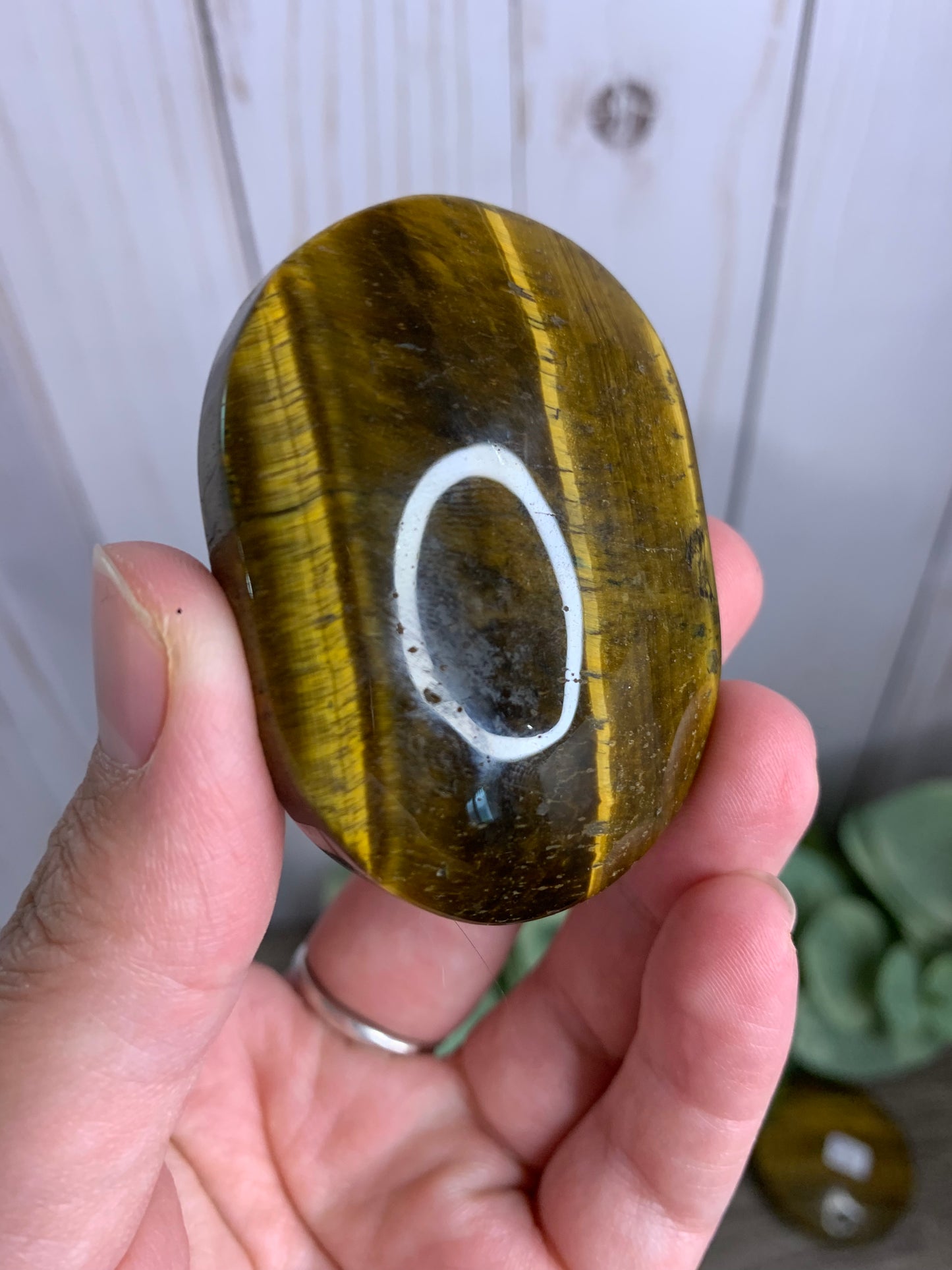 Tigers Eye Palm Stones