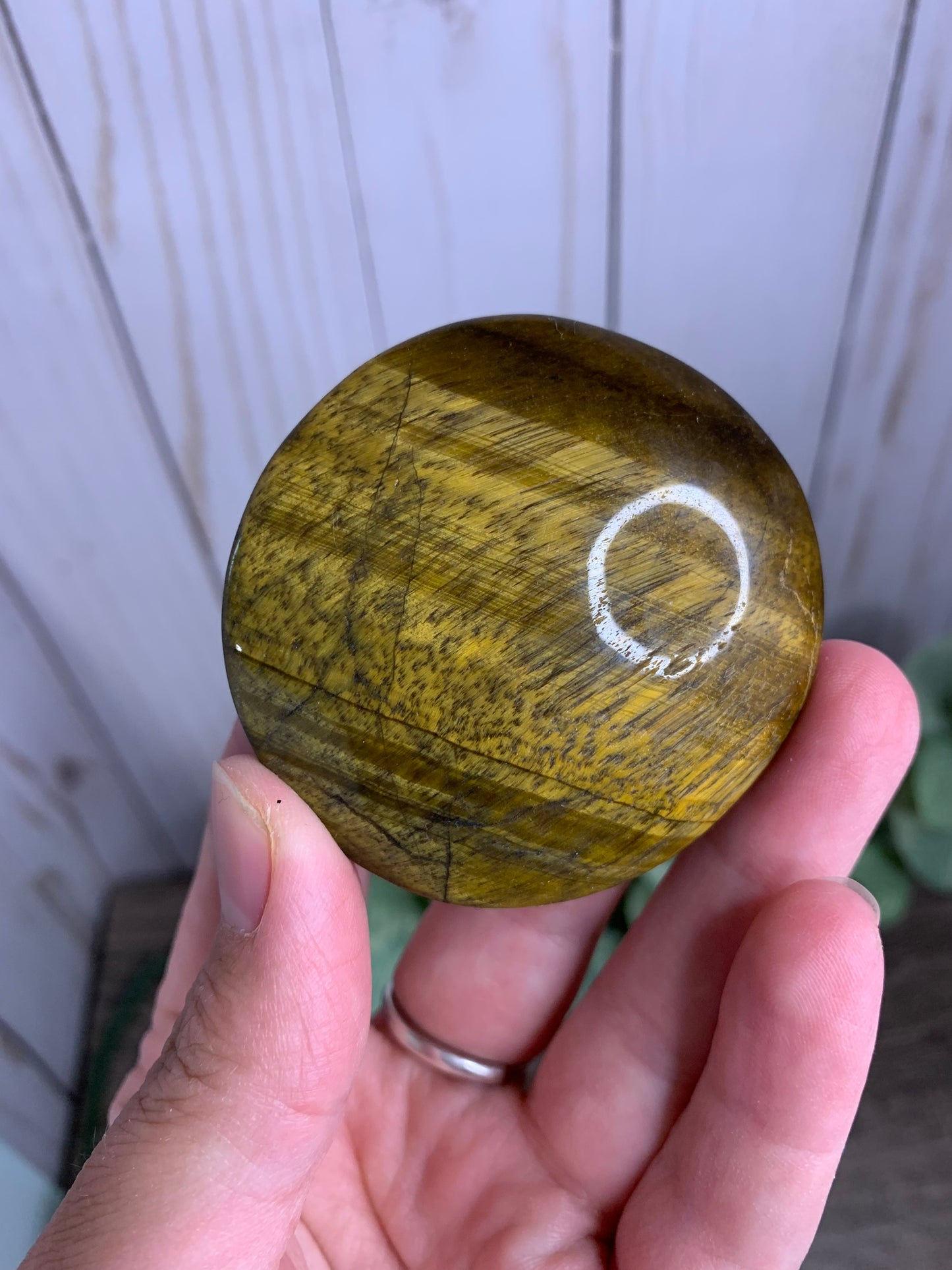 Tigers Eye Palm Stones