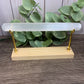 Selenite - Bracelet Stand / Holder