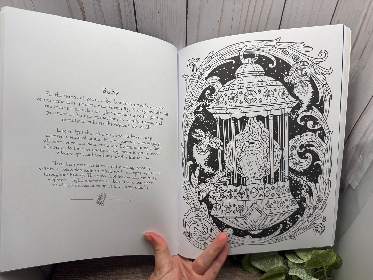 Harness the Healing Power of Crystals Coloring Book