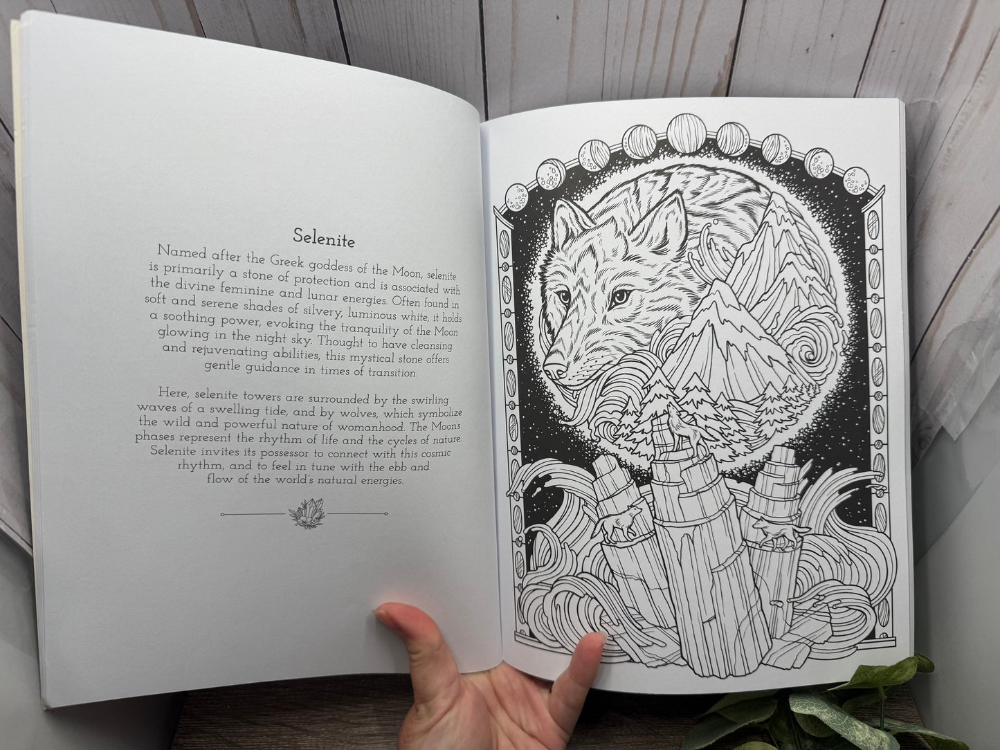 Harness the Healing Power of Crystals Coloring Book