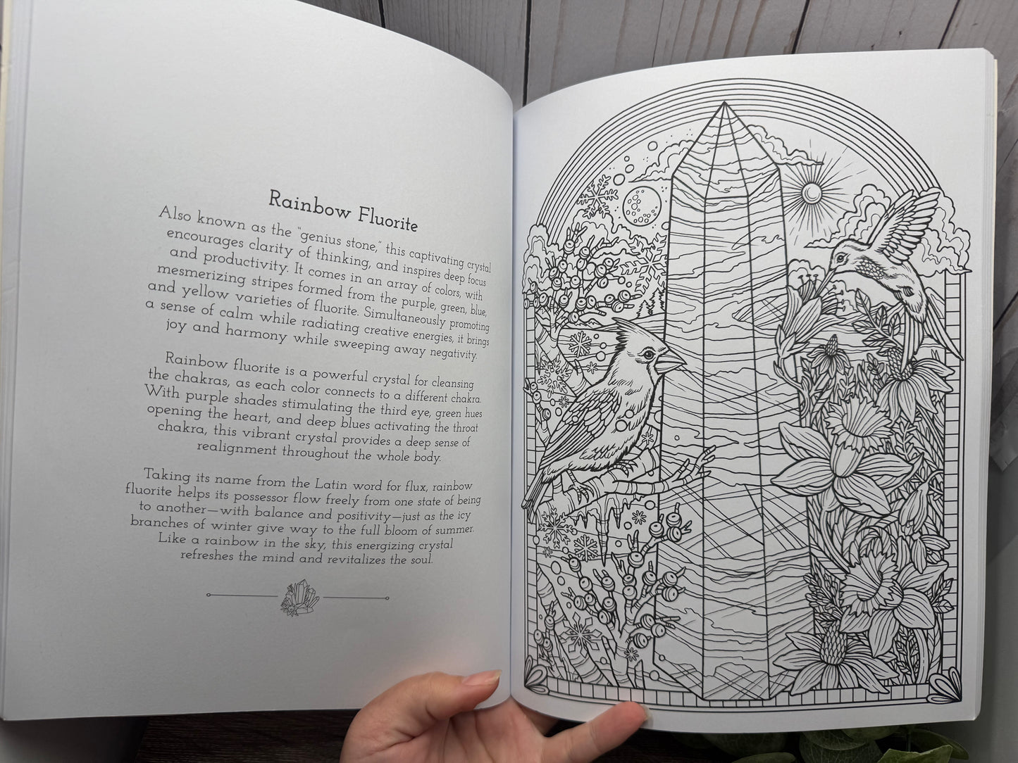 Harness the Healing Power of Crystals Coloring Book
