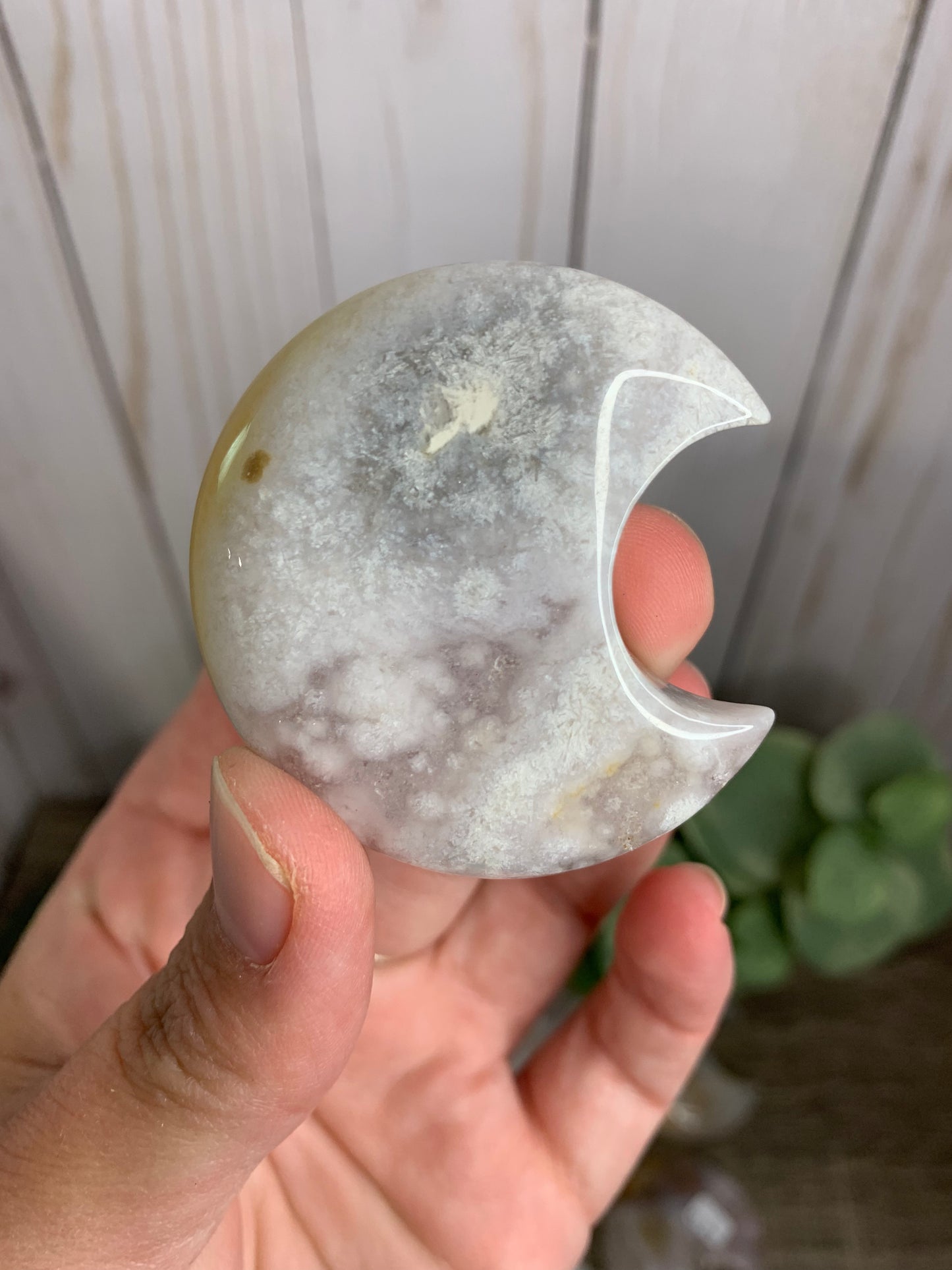 Flower Agate Moon