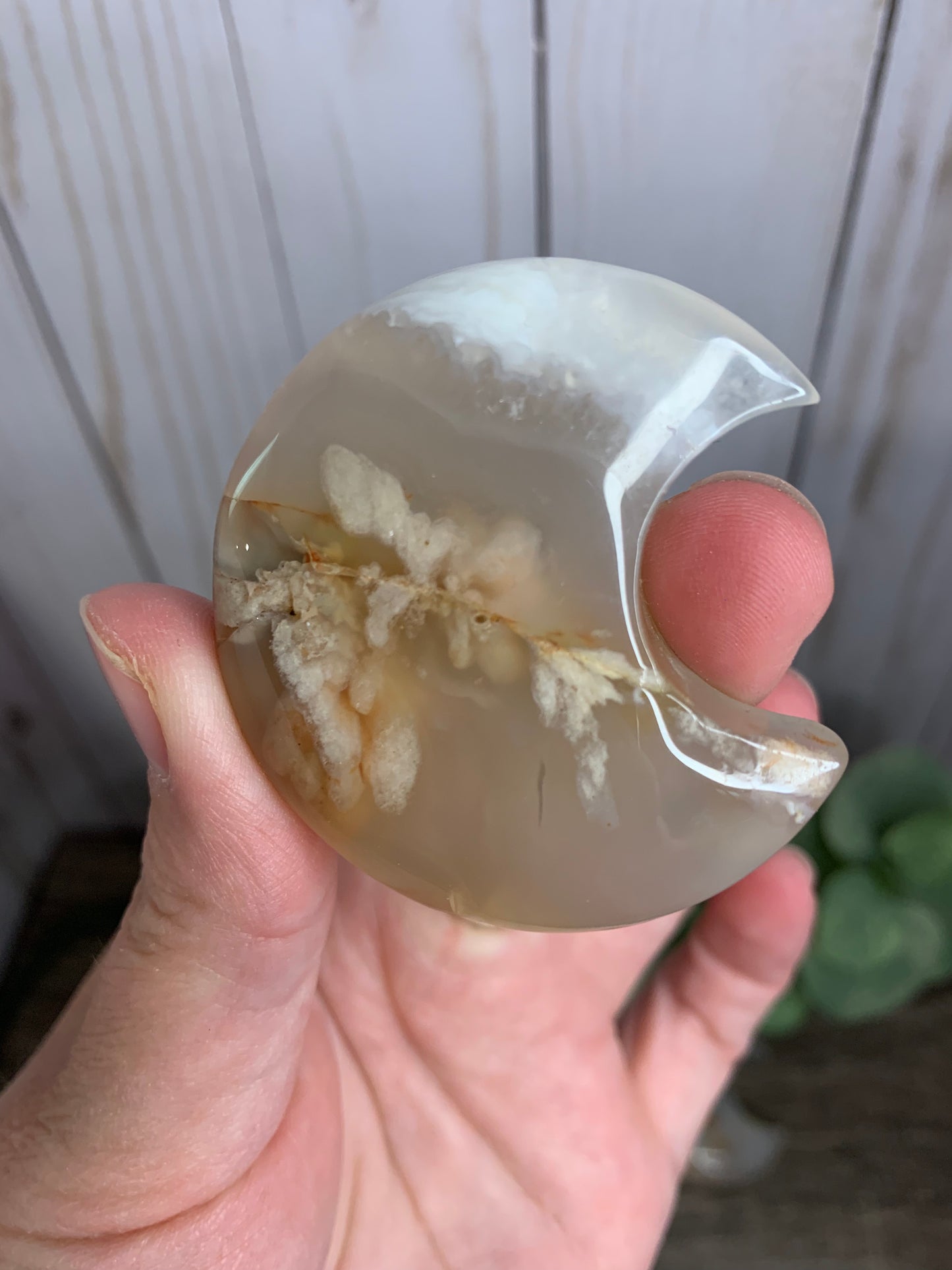 Flower Agate Moon