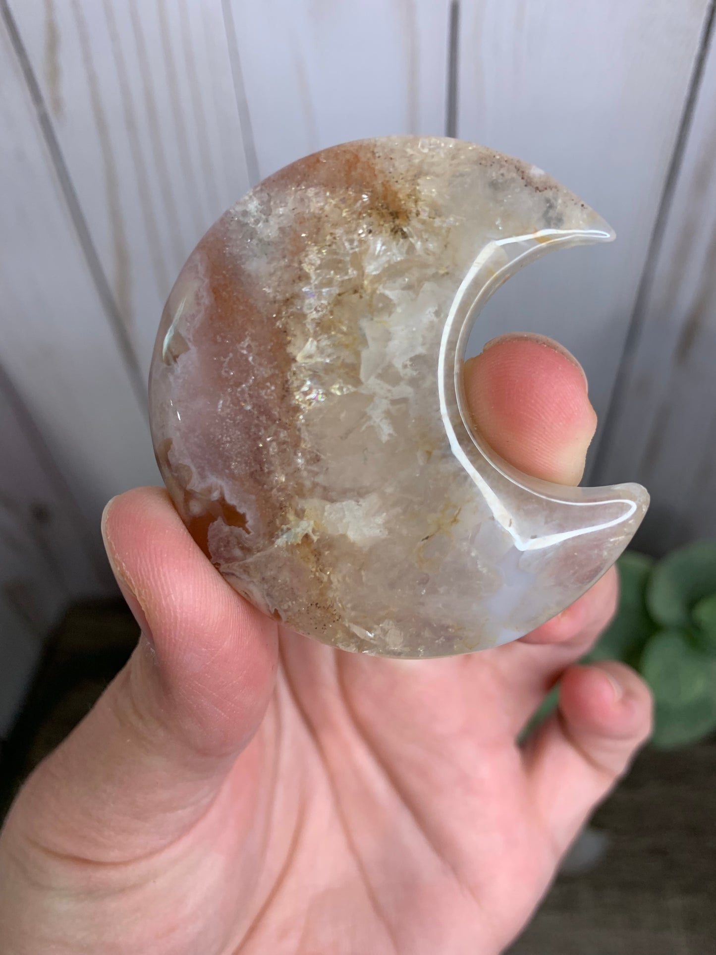 Flower Agate Moon