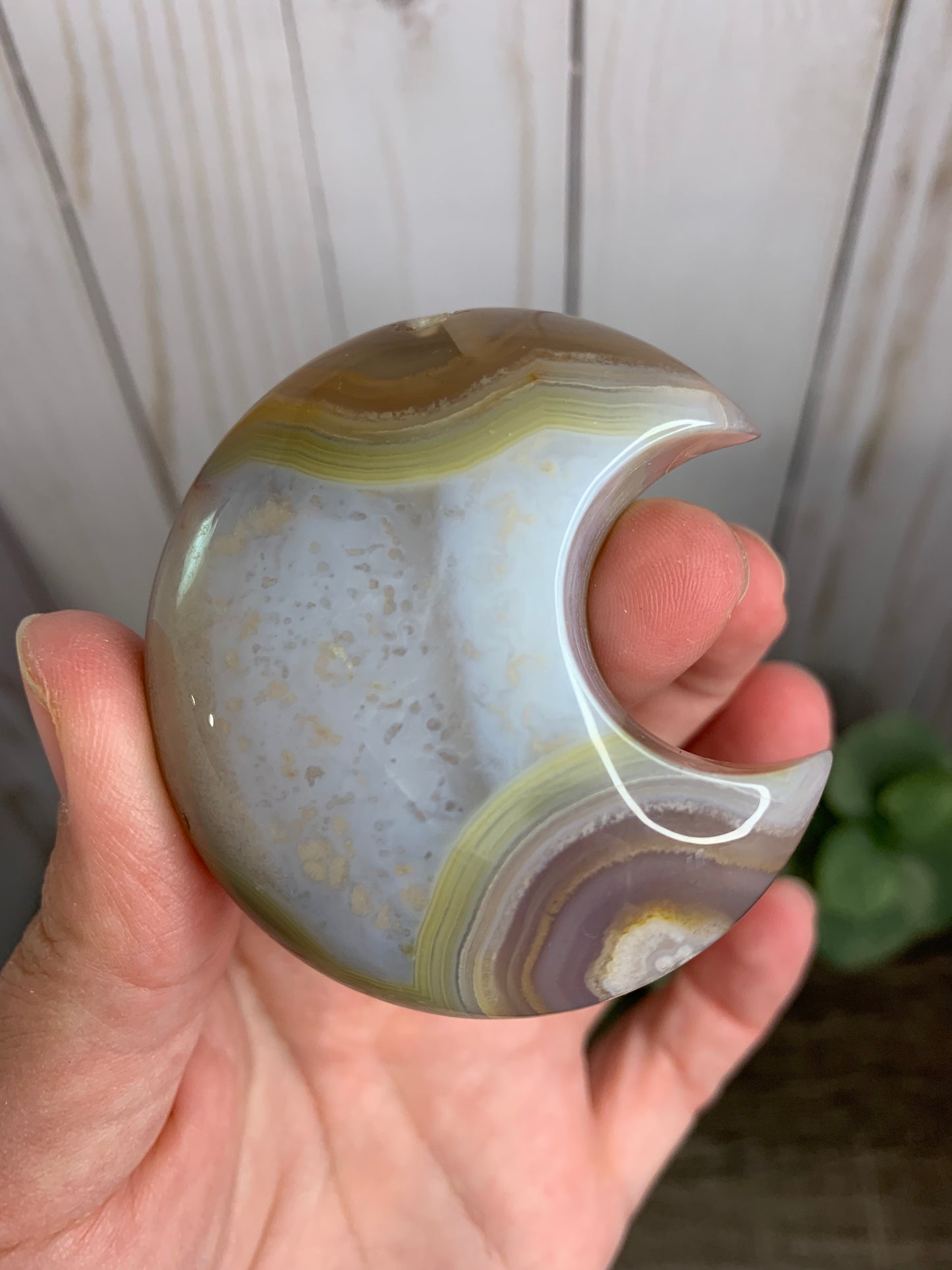 Flower Agate Moon