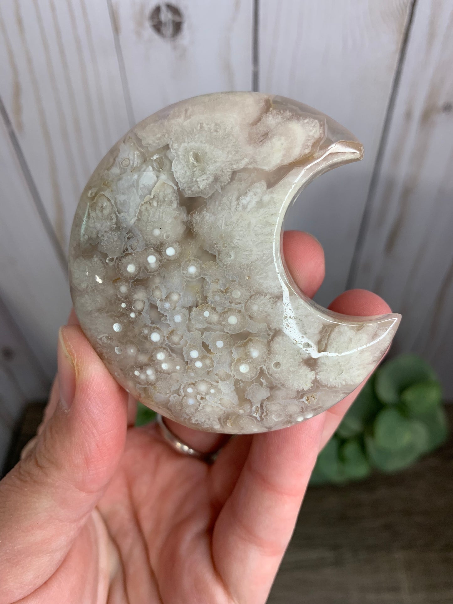 Flower Agate Moon