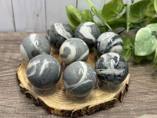 Fossil Shell Spheres