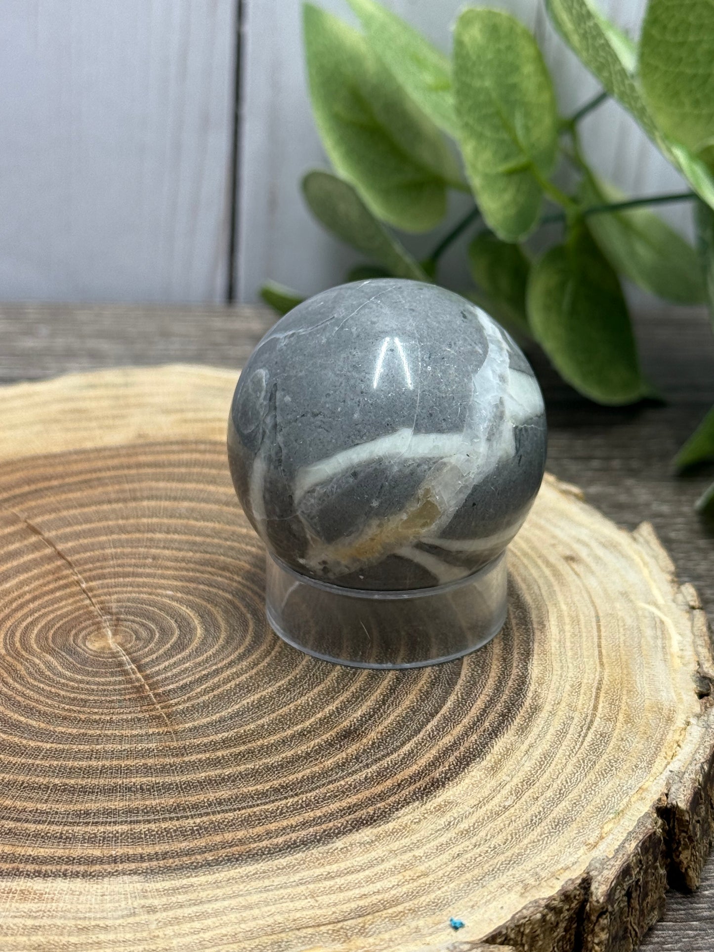 Fossil Shell Spheres