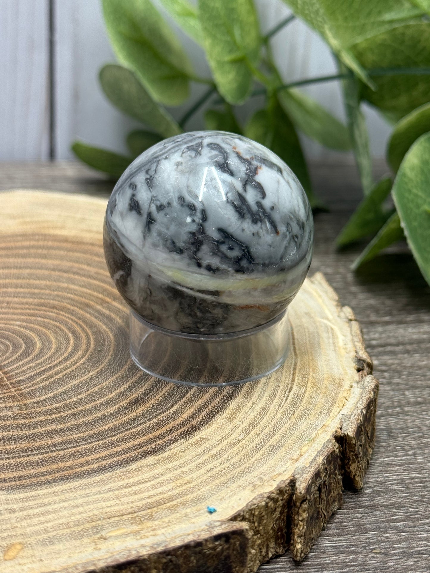 Fossil Shell Spheres