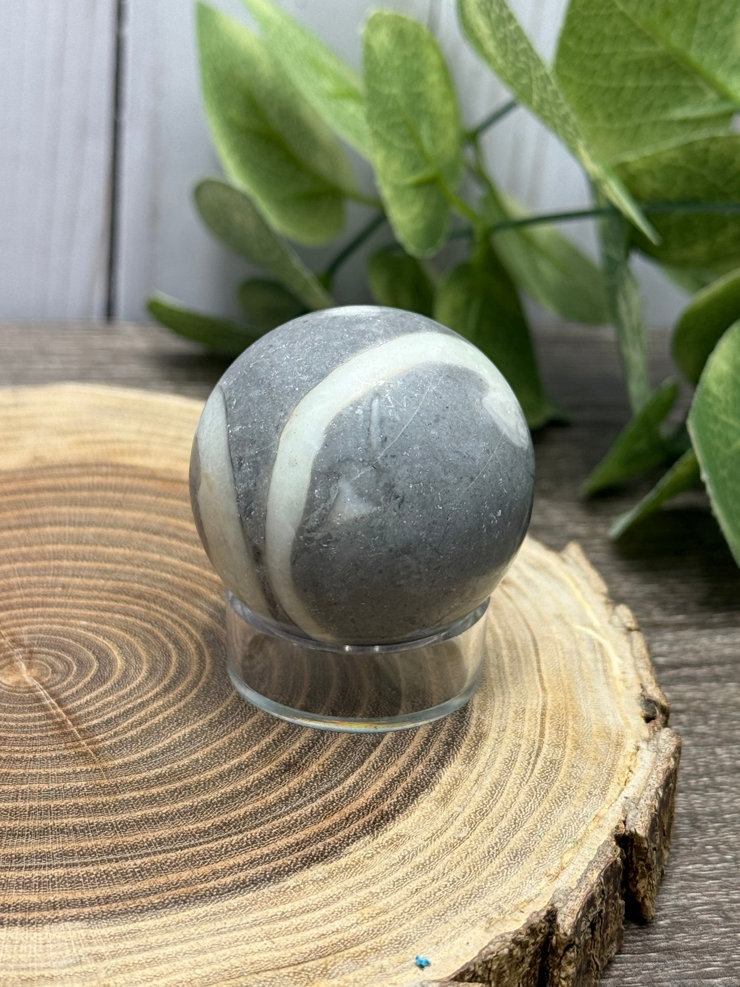 Fossil Shell Spheres