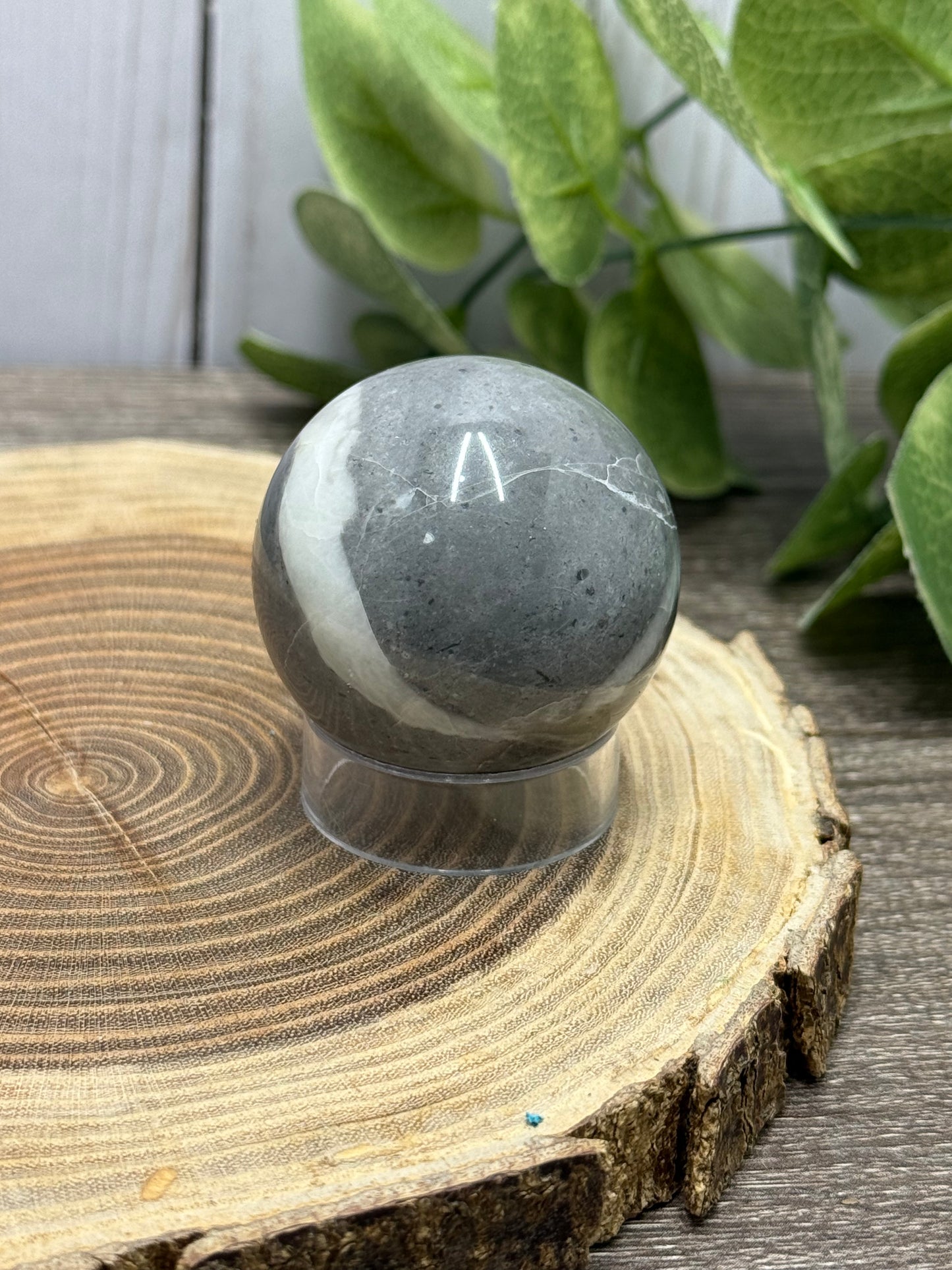 Fossil Shell Spheres