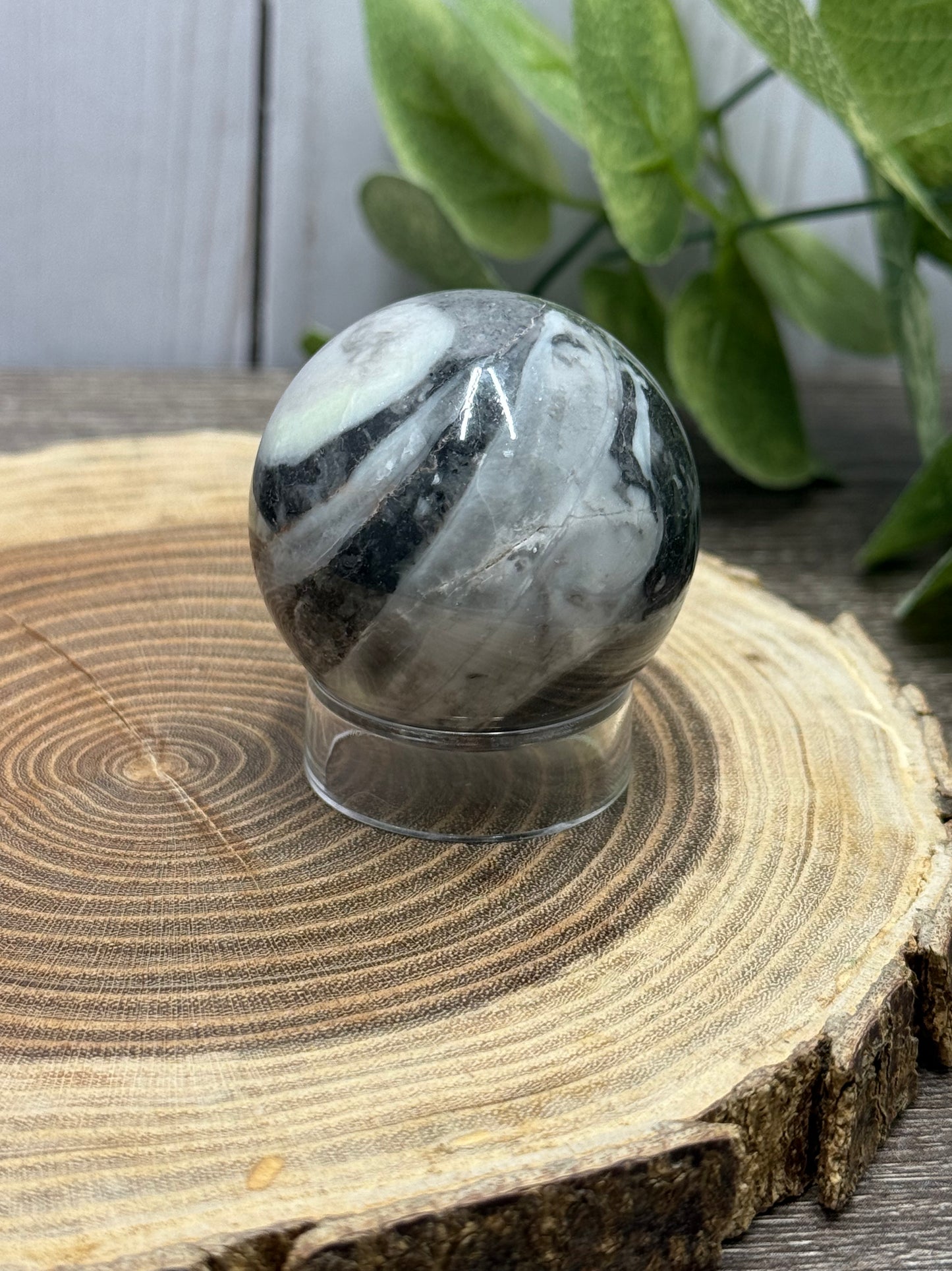 Fossil Shell Spheres