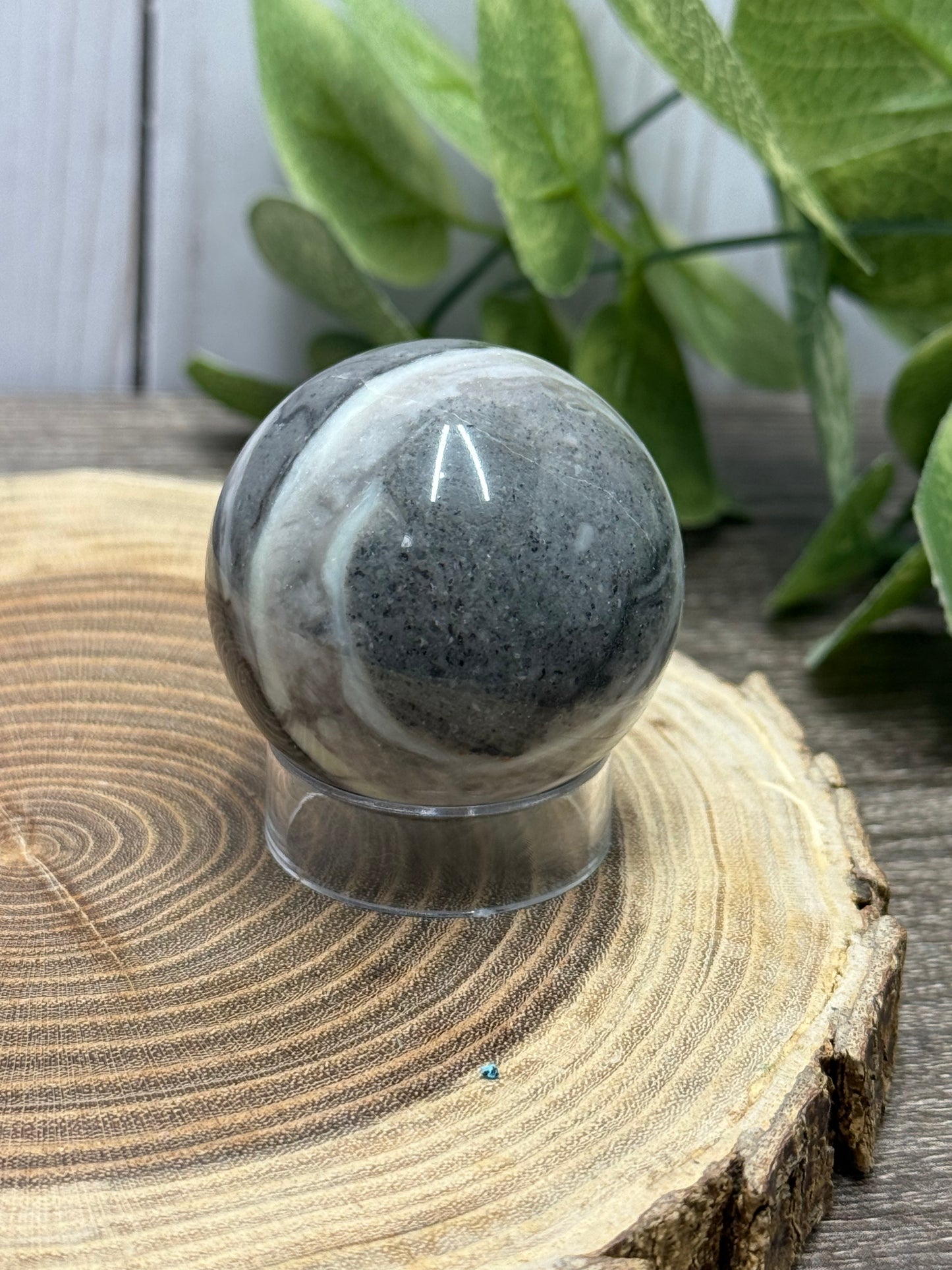Fossil Shell Spheres