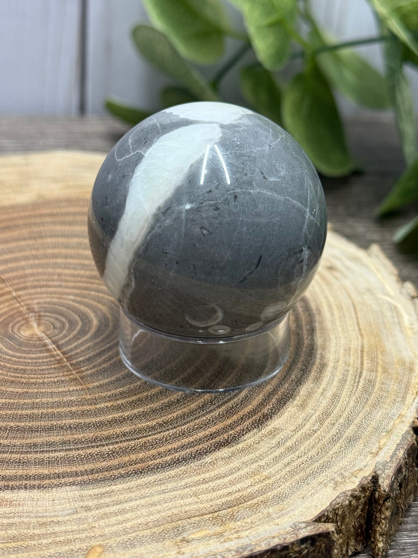 Fossil Shell Spheres